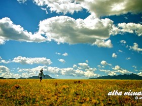ALBA 2